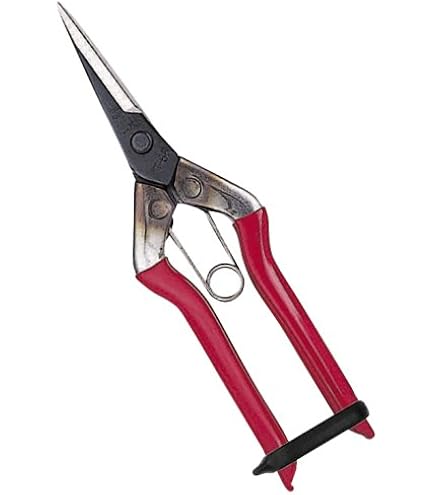 Amazon | 近正(CHIKAMASA) チカマサ 芽切鋏 T-550 | 高枝切りばさみ